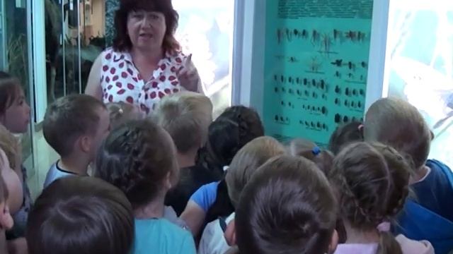 Познавательные встречи в музее  чем бабочка отличается от стрекозы смотреть онлайн