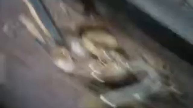 В поисках противогазов 3 чясть смотреть онлайн