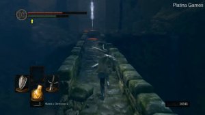 Dark Souls на платину Лоскутик