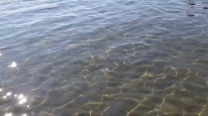 море в белеке в октябре