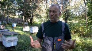 ПЛЮСЫ САХАРНОГО СИРОПА ИНВЕРТИРОВАННОГО ДЛЯ ПОДКОРМКИ ПЧЕЛ К ЗИМЕ В ЛЕСНОЙ ЗОНЕ!