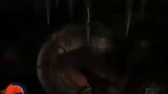 Cryostasis: Sleep Of Reason - Анабиоз: Сон Разума Part 29 смотреть онлайн