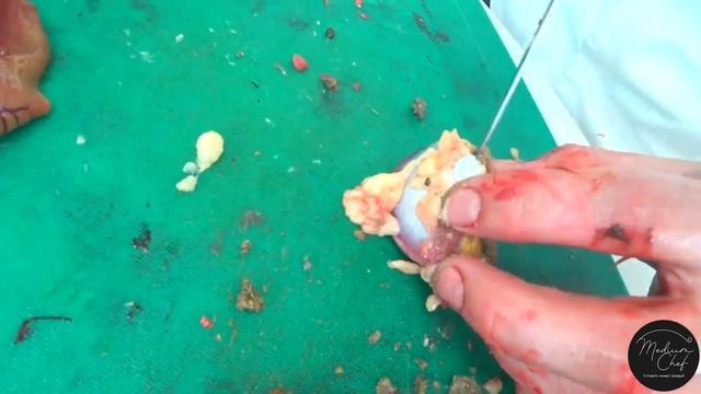 Разделка утки. Что готовить из утки? Утка в казане или тушеная утка? смотреть онлайн