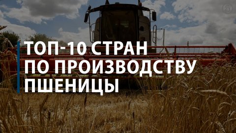 Топ-10 стран по производству пшеницы