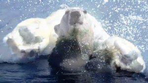 Там, где вертится быстрее Земля SN