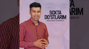 Soxta do'stlarim