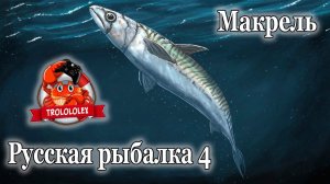 Русская рыбалка 4 Макрель. Трофей + Фарм