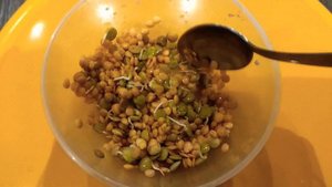 Пророщенная красная чечевица , как прорасить?