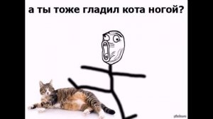 Кошачий мемчики (суровая правда про котов, насал насрал в тапок, 2:00 ночи время шуметь