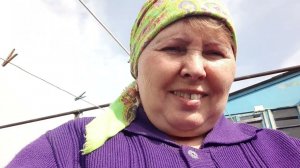 Огородные дела . Посадить правильным способом саженцы ,смородины и крыжовника .