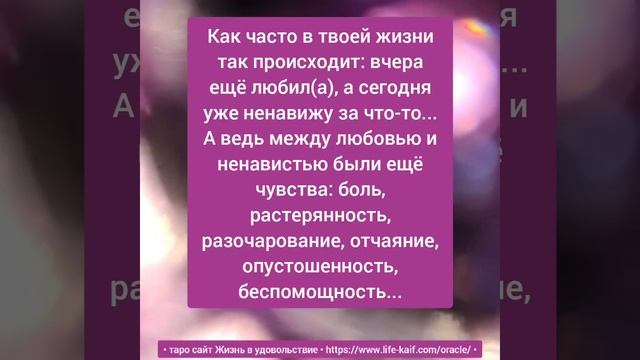 От любви до ненависти и обратно