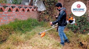 GUADAÑA STIHL FS 561C - INDUSPAC