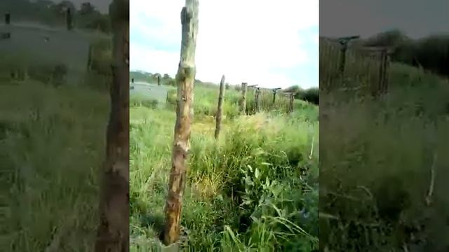 Великая Российская граница Китая Дальнего востока