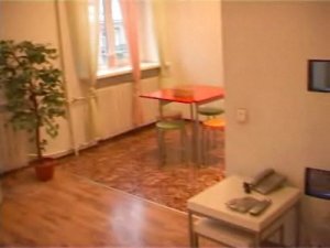 Посуточная аренда двухкомнатной квартиры в центре Киева
