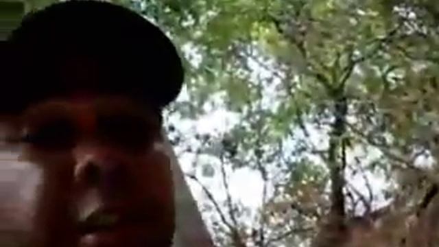 Что будет , если аллигатор укусит электрического угря смотреть онлайн