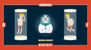 What are the Branches of Biology?