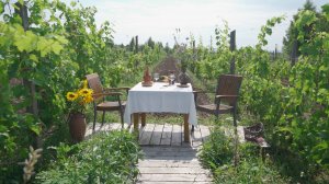 Виноградня усадьба KULAKOVO около г. Тула