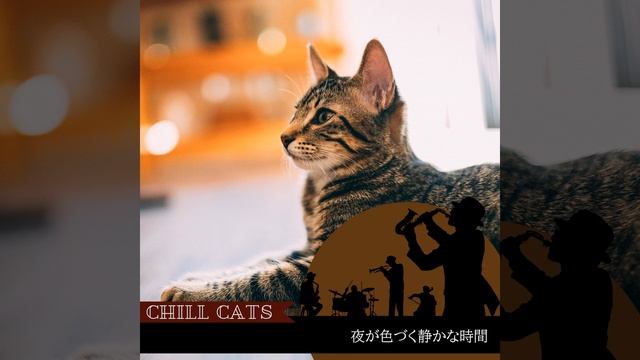 Disco Tango смотреть онлайн