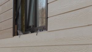 Кедрал Клик, Фиброцементный сайдинг