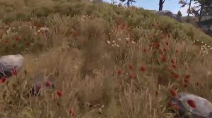 Гайд на успешный старт для новичка в расте часть 1! #раст #растигра #rust #раствыживание