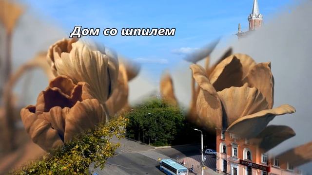 Что посмотреть в Комсомольске-на-Амуре/ что привезти?