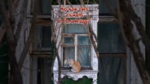 Стихотворение" Ей не с кем, оставить кота:)"