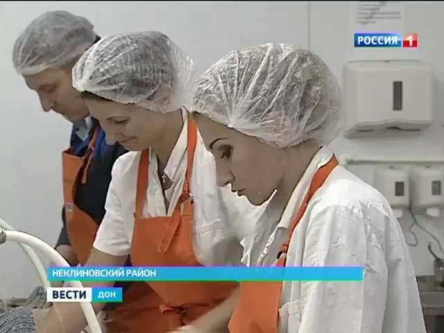 В Ростове обсудили меры по сохранению биоразнообразия водоемов Дона