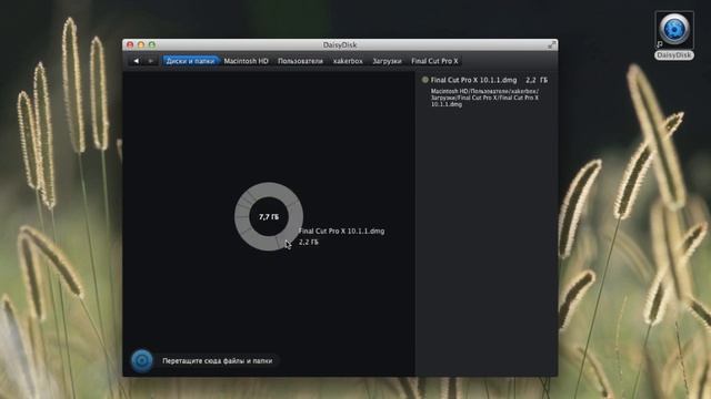 [Mac App Store] DaisyDisk - комфортная очистка Mac смотреть онлайн