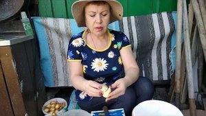 Посадка семейного лука . Тюменский огород