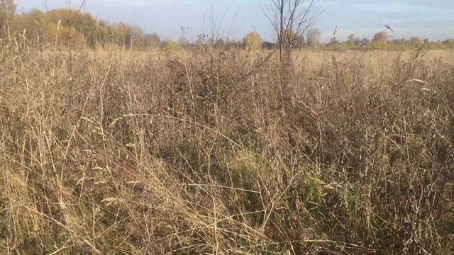 САМОДЕЛКА  ИЗ ХЛАМА МОТОСАМОКАТ . Доехать и НЕ Убиться.