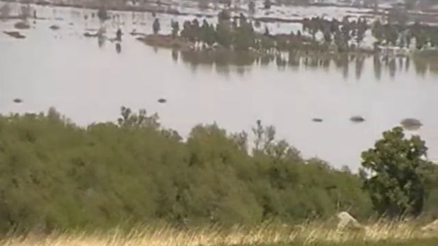 Затопила деревню 2014 году, Или как может разлиться Обь смотреть онлайн