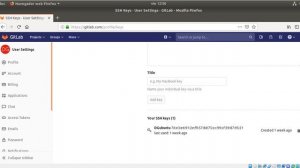 Git - GitLab - Subir proyecto local a GitLab - DG