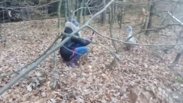 Лебединая семейка на пруде Крчак. Чешский рай. Йичинско. Больной гадкий утёнок... смотреть онлайн