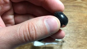 Вентили колеса WONDER TR 413 (VAG 311 601 361)