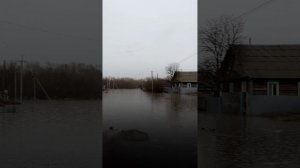 Жесть 😌😬 #Беляевка #паводок #орск #оренбург #потоп  #урал #розлив #наводнение