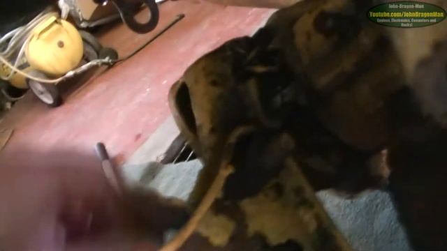 Fiat Panda 4x4 Sisley Video log No 34 (Wheel bearing and outer CV boot change) смотреть онлайн