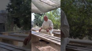 The story of the monk Pere Olivier of the benedictine monastery Abu-Ghosh, Israel