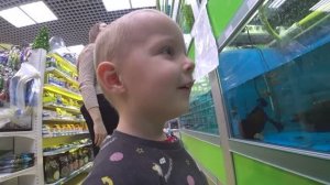 Новогодняя суета