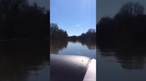 Мотор HDX 9.9 лодка Гладиатор 370 al