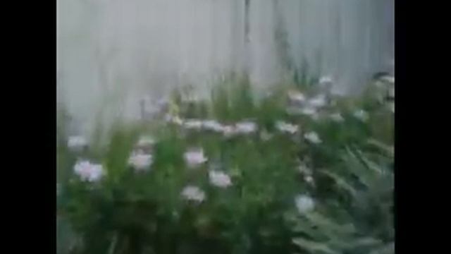 Sony Cybershot (old school) Test смотреть онлайн