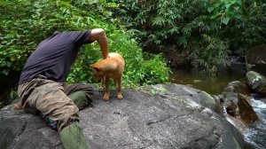 Survival fish trap from bamboo: Survival Alone | EP.138