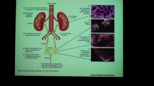 UTI Part 1 of 2 (15 min)