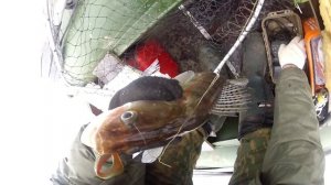 Рыбалка судак на джиг спиннинг Ока Рязань декабрь 2012г. mans