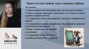 Лекция 2. Про питание собак