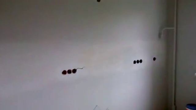 Ремонт квартир в Оренбурге смотреть онлайн