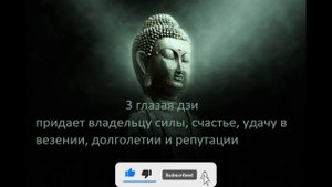 3 глазая дзи значение