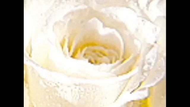 Сеанс исцеления ангелами белваспата (песня самости и вся базовая) смотреть онлайн