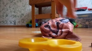 как готовить пильмени #блобтоп