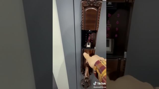 Умные дверные замки с биометрической технологией