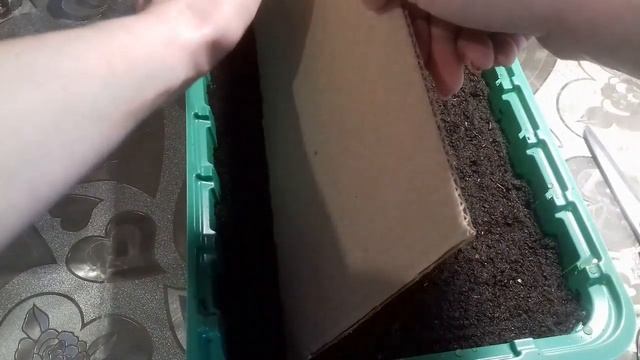 Посев МЕЛКИХ семян в БОРОЗДКИ !!! Лобелия смотреть онлайн